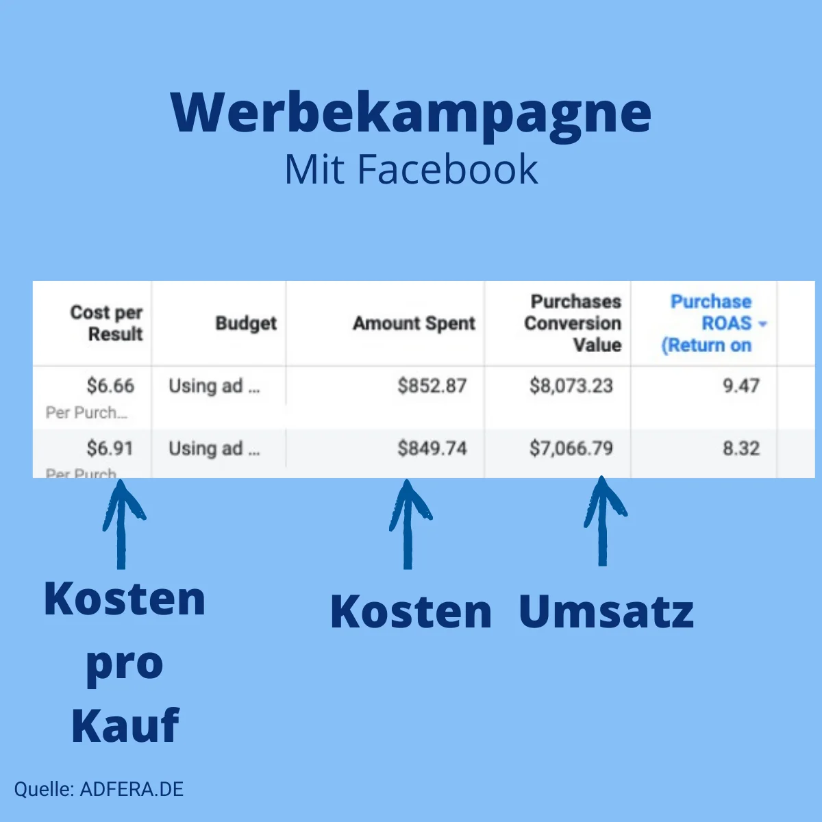 Facebook Kampagne Ergebnisse