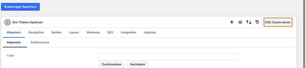 Divi Theme-Optionen mit hervorgehobenem Button CSS-Cache leeren oben rechts