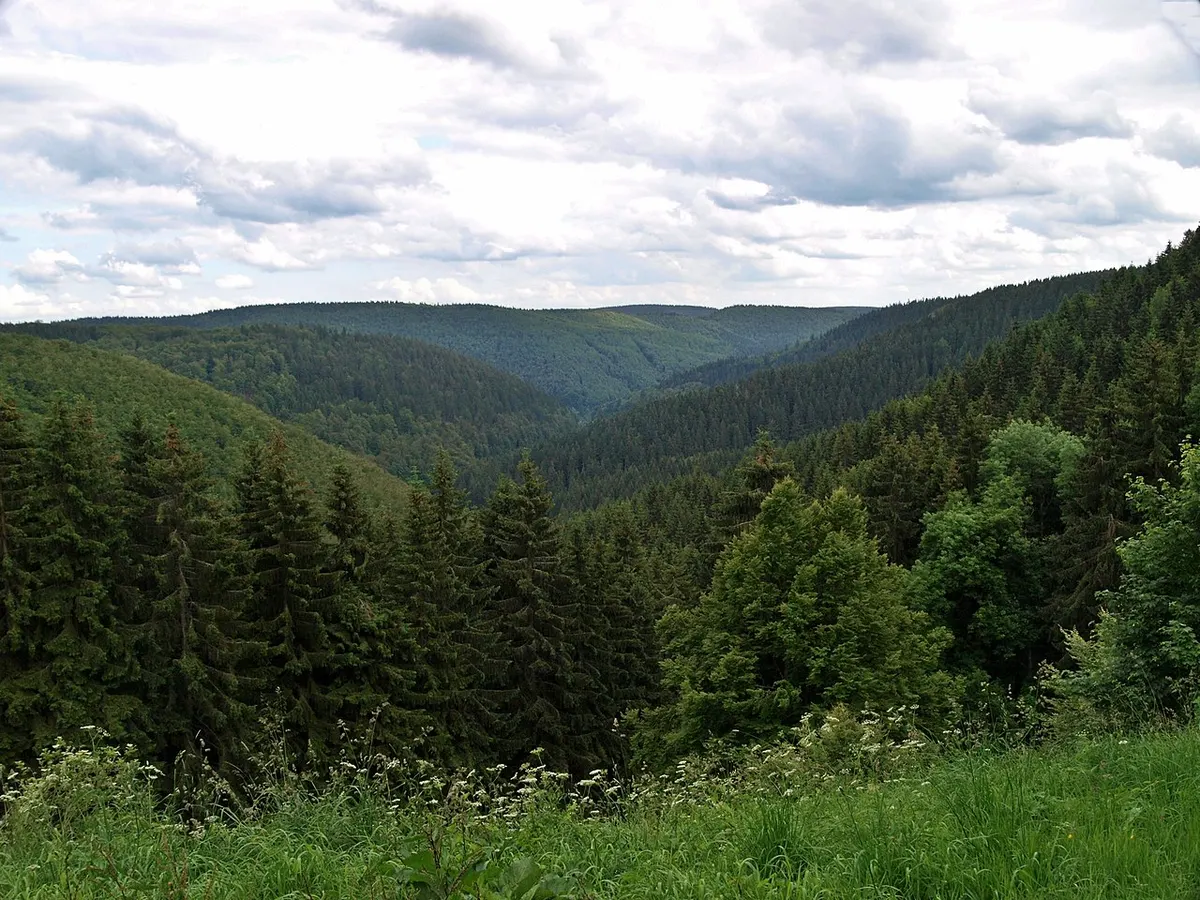 Thüringer Wald Panorama