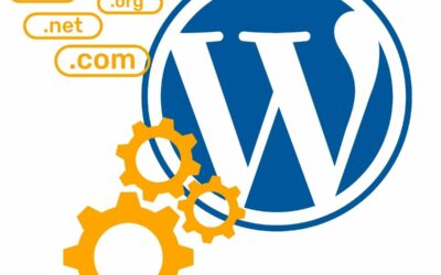 Domain Umzug mit WordPress